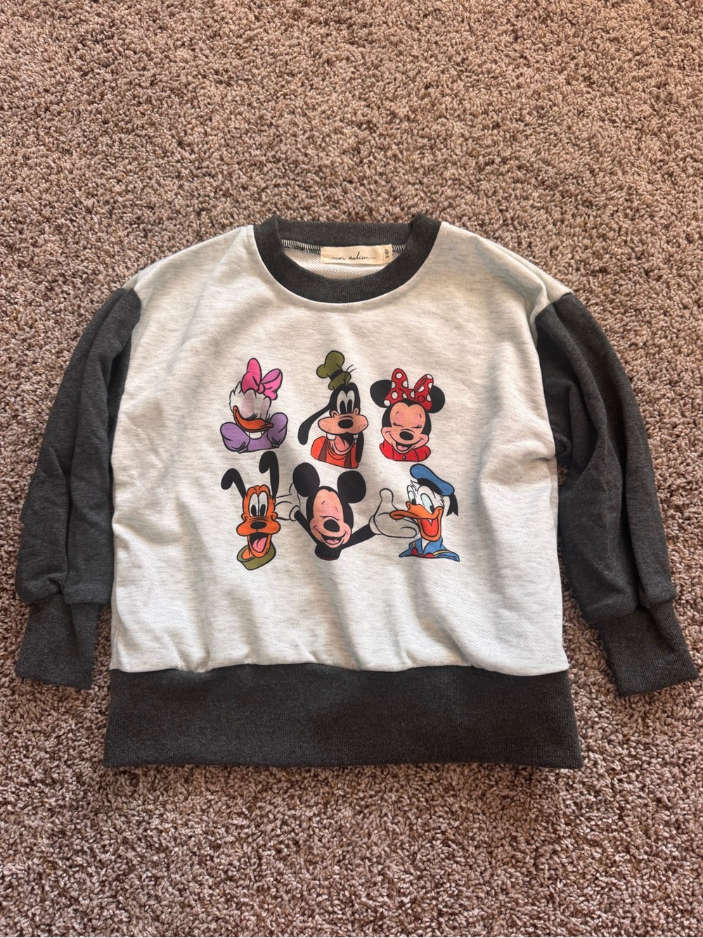 Nora Madison Disney Character Crewneck Sweatshirt - Gray & Charcoal.